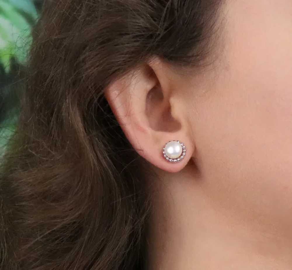 14k White Gold 8mm Freshwater Pearl Earrings Stud… - image 2
