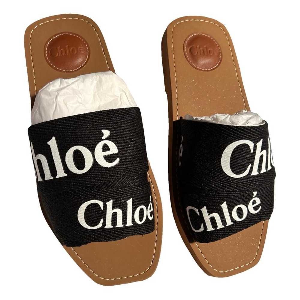 Chloé Flats - image 1