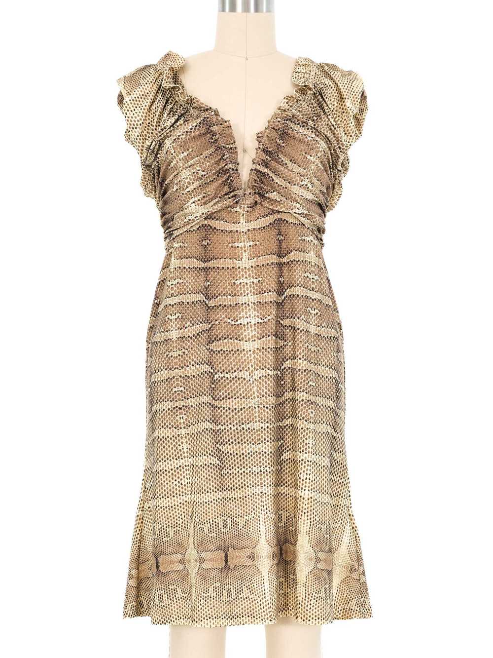 2007 Roberto Cavalli Animal Print Dress - image 1