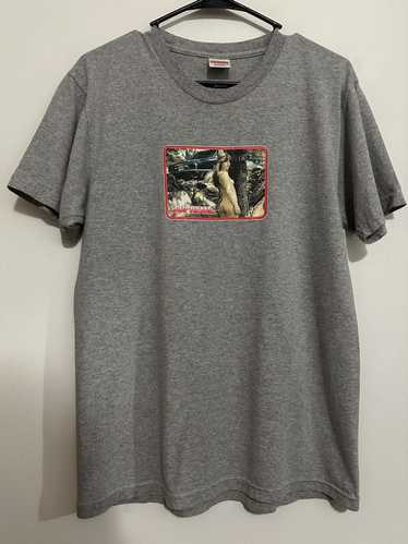 Supreme Supreme Larry Clark Girl Tee - image 1