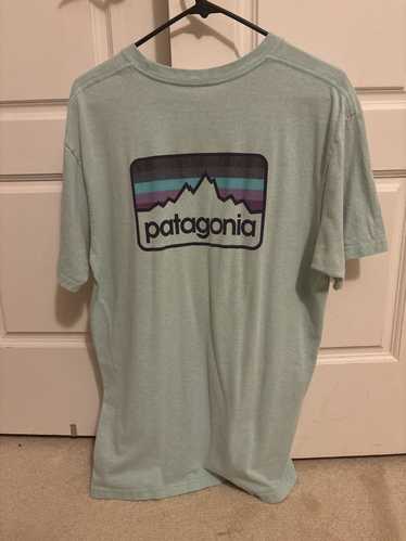 Patagonia Teal/Green Patagonia T Shirt