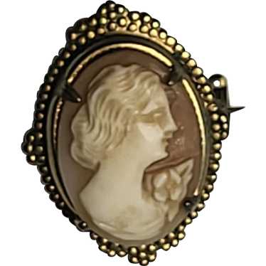 Vintage Ornate Cameo Pin/Brooch - image 1