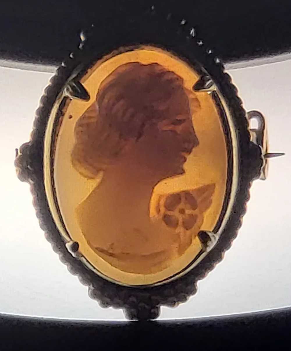 Vintage Ornate Cameo Pin/Brooch - image 4