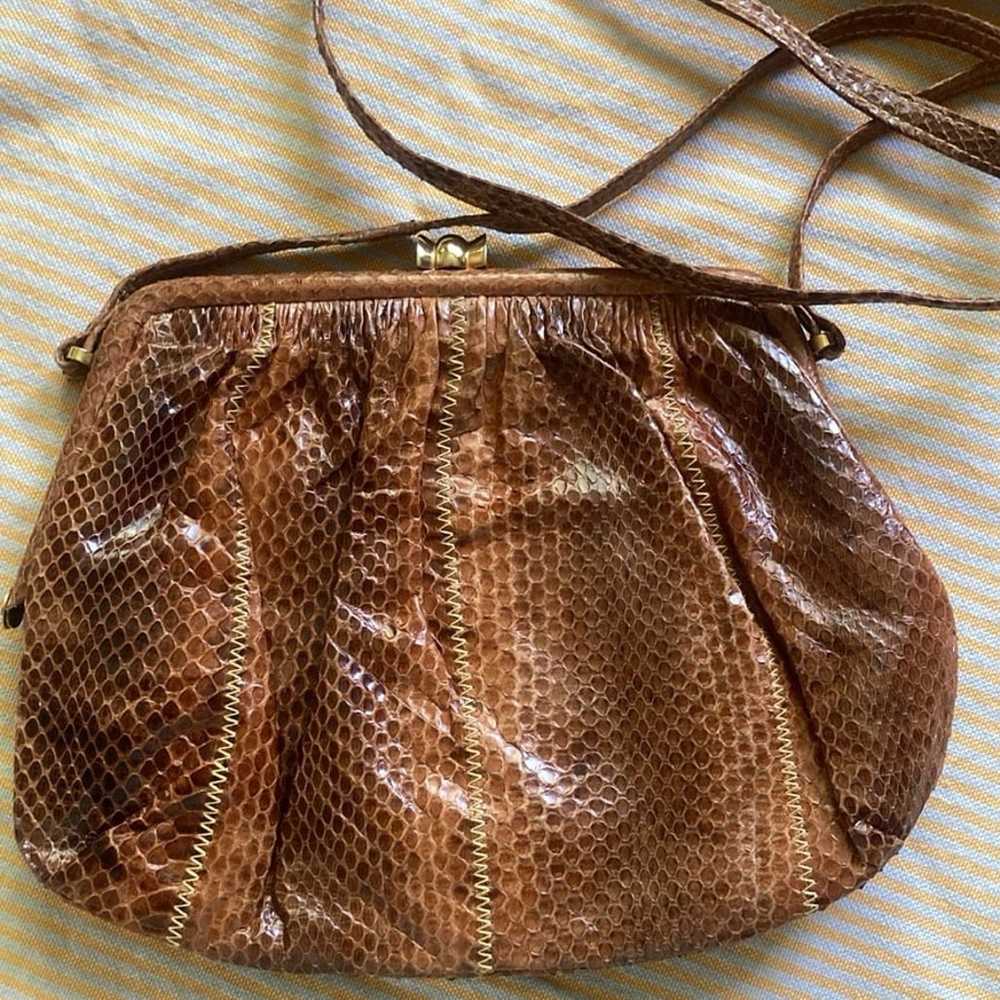 Vintage Raffael Snake Skin Crossbody Purse - image 2