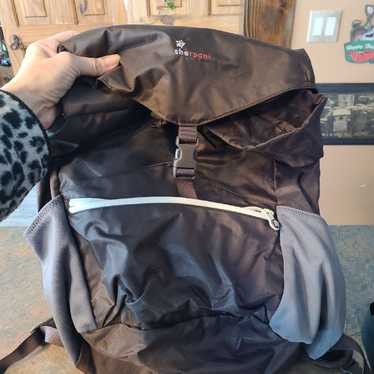 Sherpani backpack