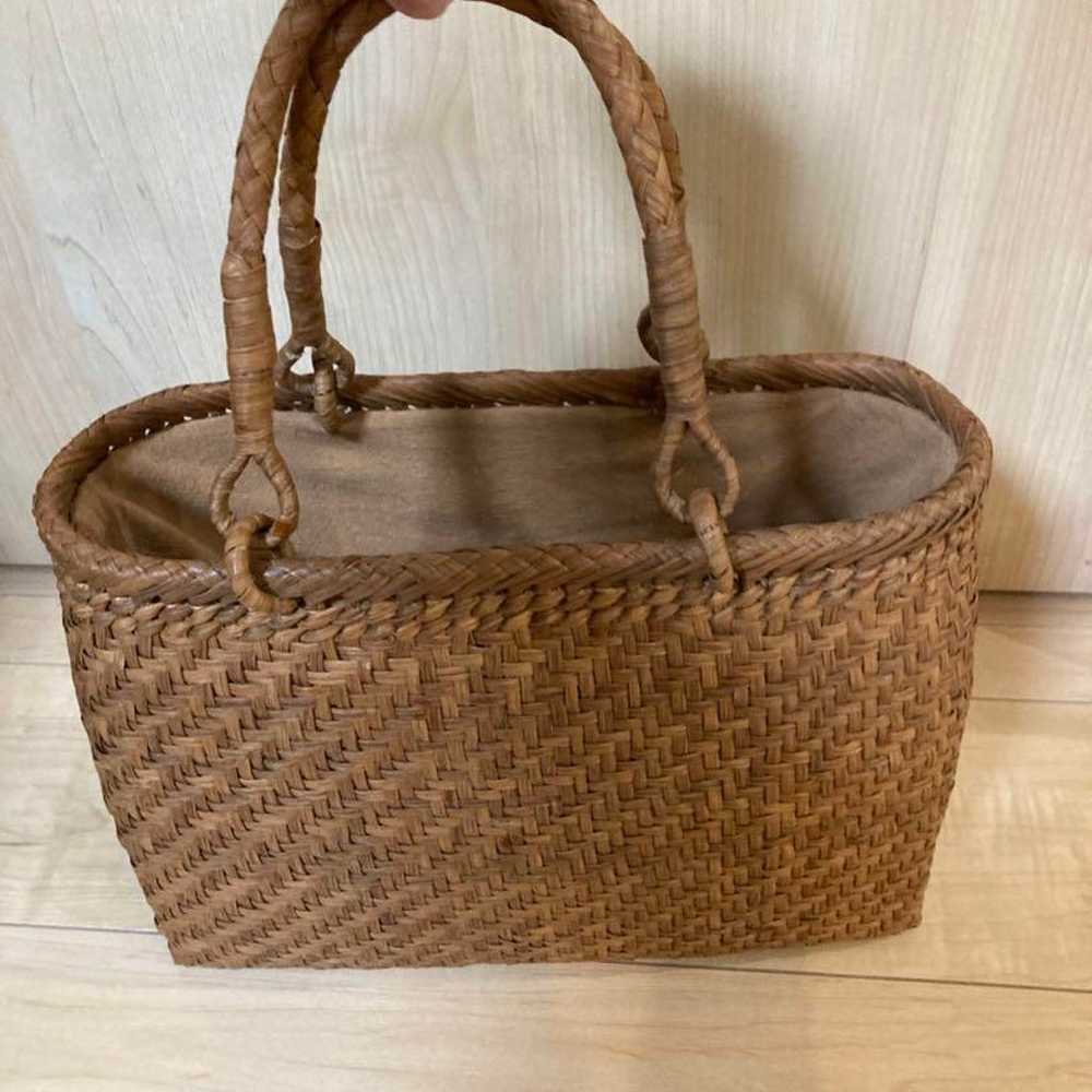 【Excellent Condition】Mountain grapes, woven mesh … - image 1