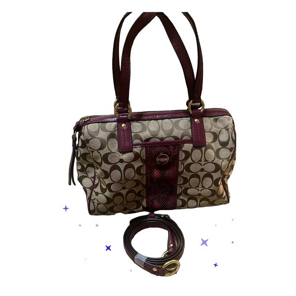 Coach F24884 Signature Stripe Python Snake Zip Sa… - image 11