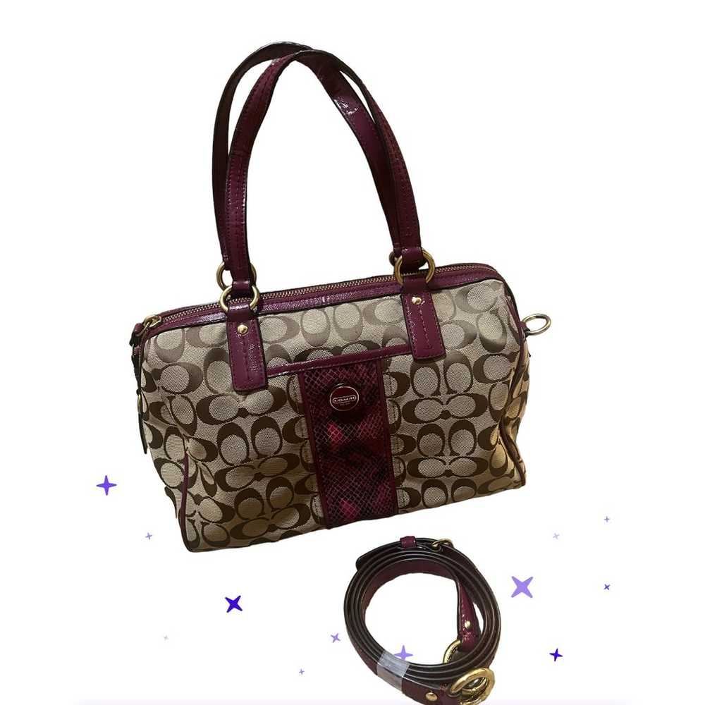 Coach F24884 Signature Stripe Python Snake Zip Sa… - image 1