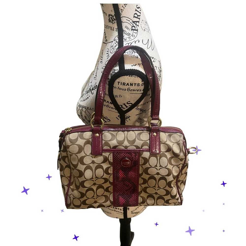 Coach F24884 Signature Stripe Python Snake Zip Sa… - image 2