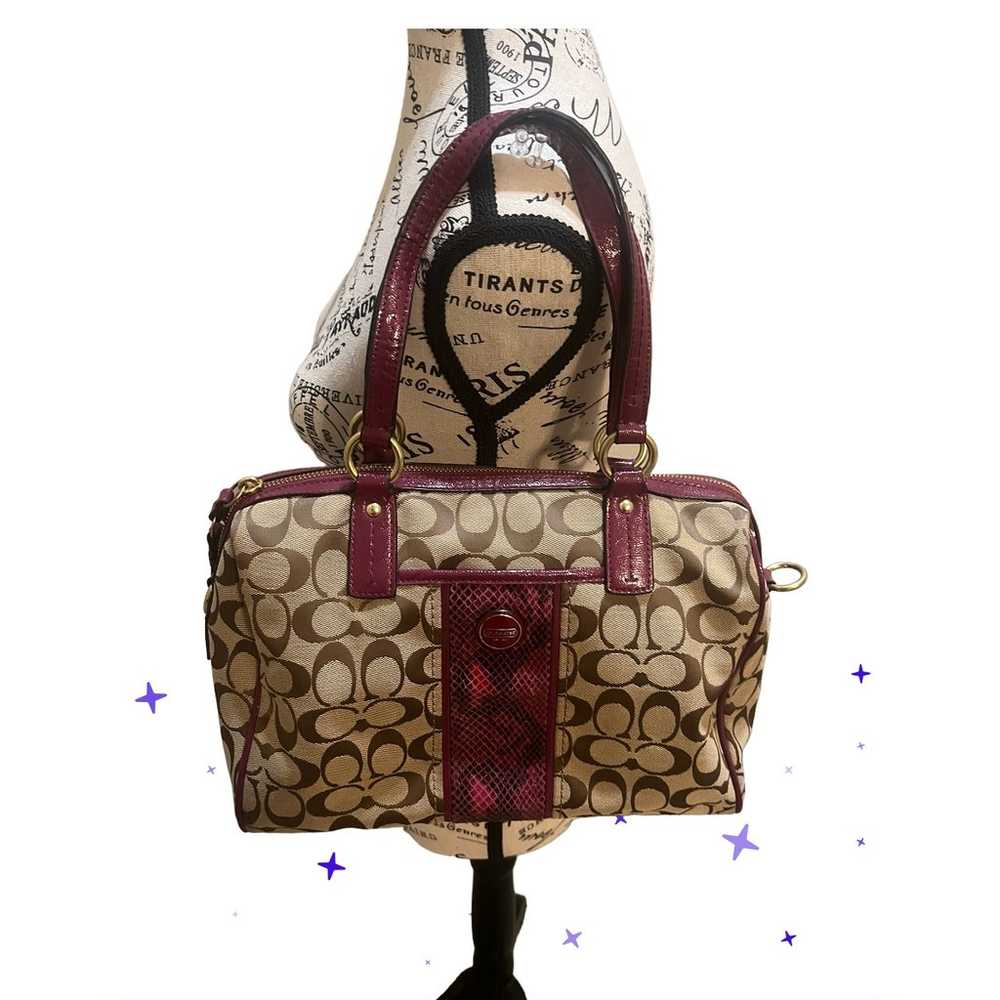 Coach F24884 Signature Stripe Python Snake Zip Sa… - image 7