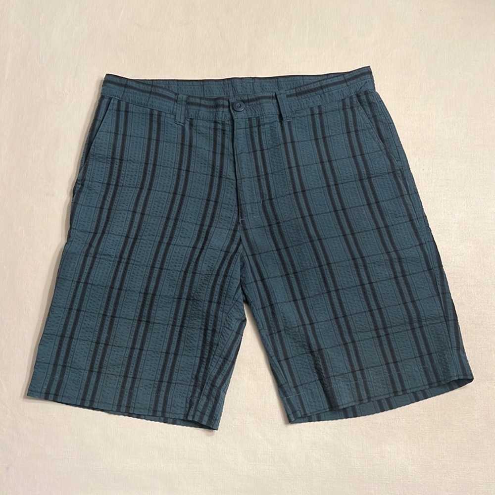 Patagonia Blue Stripe Shorts - image 1