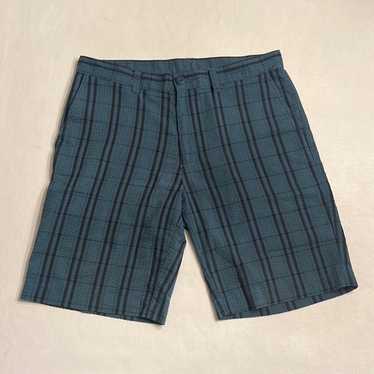 Patagonia Blue Stripe Shorts - image 1