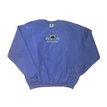 Vintage Jerzees Adirondacks Crewneck Sweatshirt E… - image 1