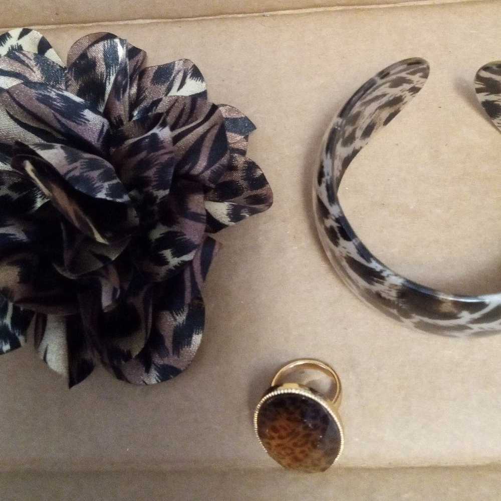 Vintage Leopard Print Jewelry Ensemble - image 1