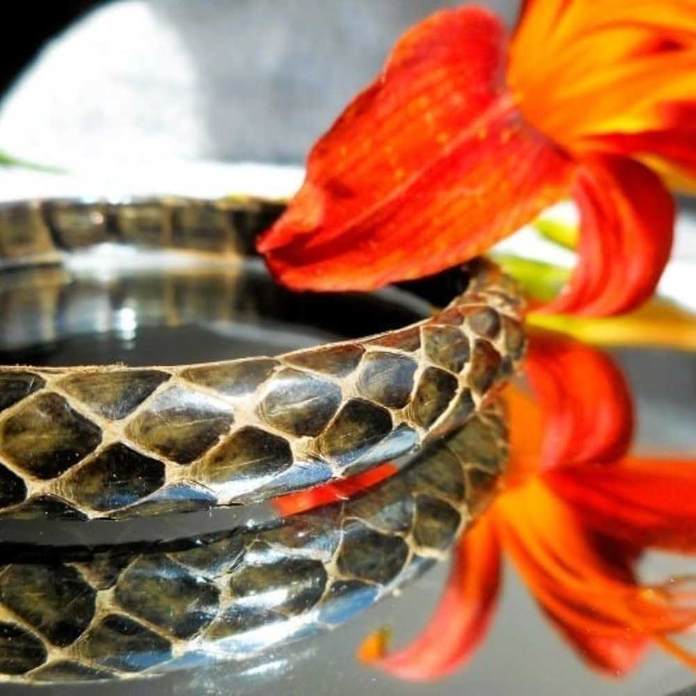 Genuine Brown Leather Snakeskin Bangle Bracelet N… - image 2