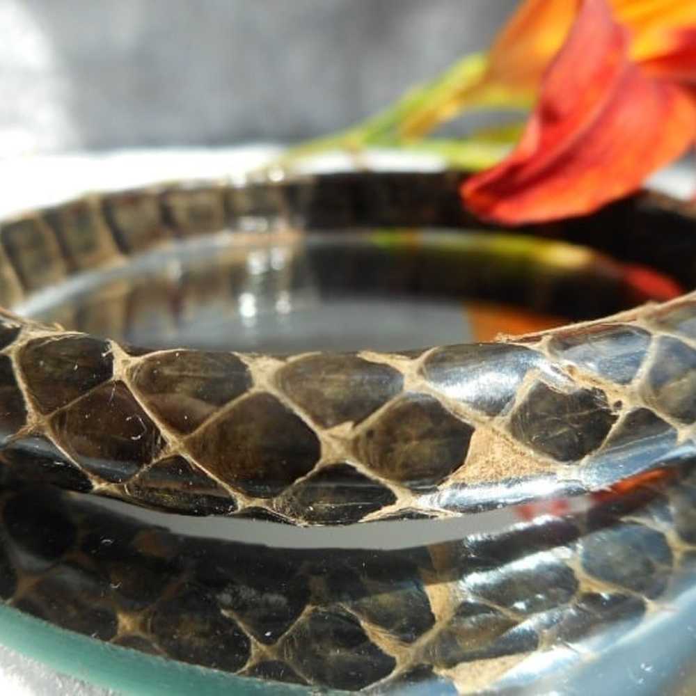 Genuine Brown Leather Snakeskin Bangle Bracelet N… - image 6