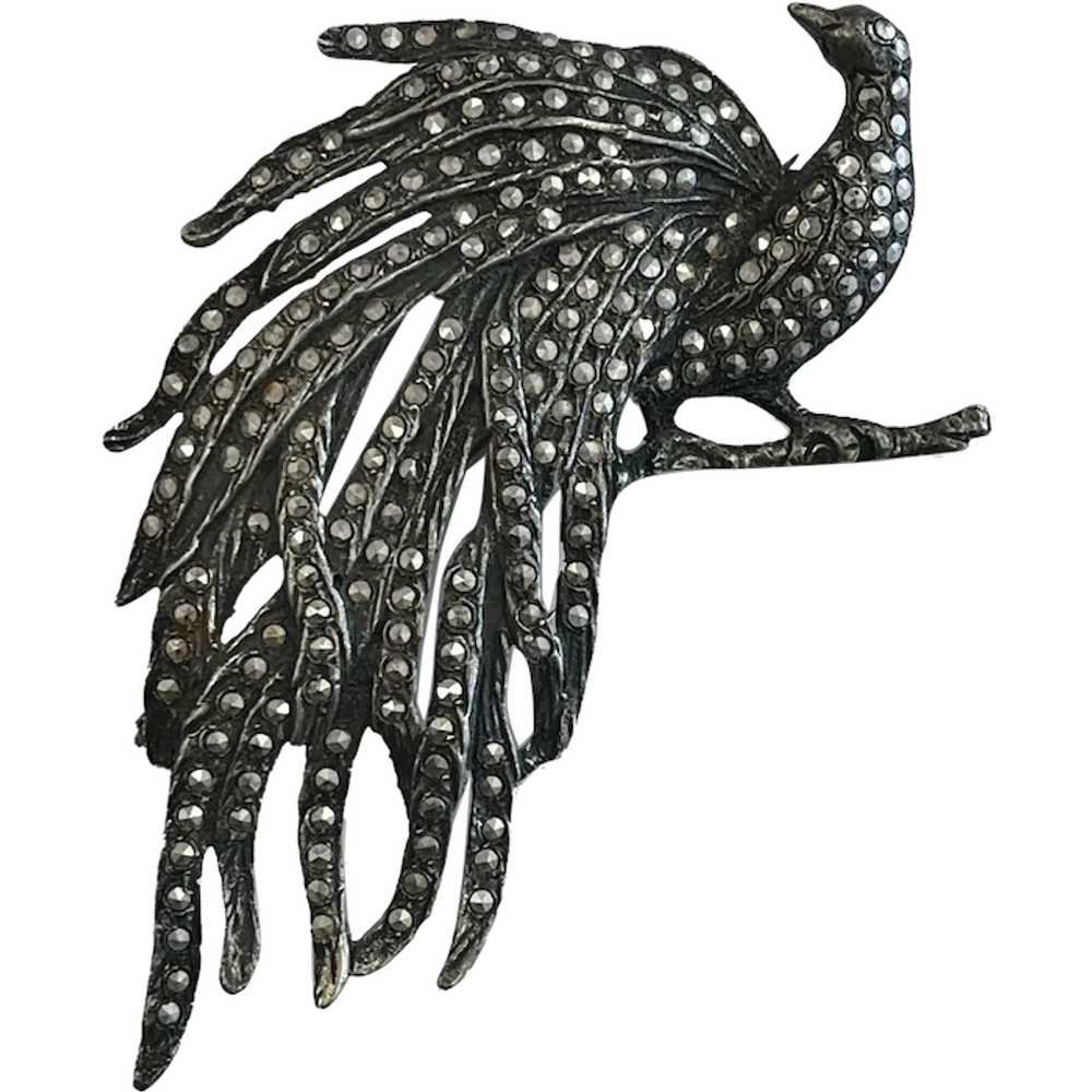 Vintage Sterling Silver and Marcasite Peacock Bro… - image 1