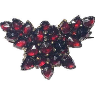 Victorian Bohemian Garnet Silver Butterfly Brooch - image 1