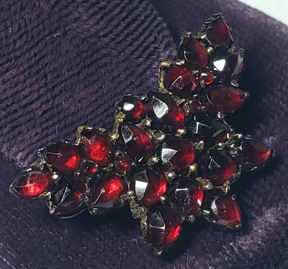 Victorian Bohemian Garnet Silver Butterfly Brooch - image 2