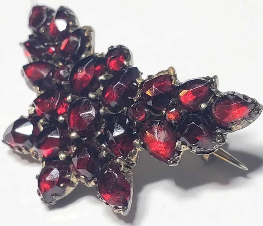 Victorian Bohemian Garnet Silver Butterfly Brooch - image 3