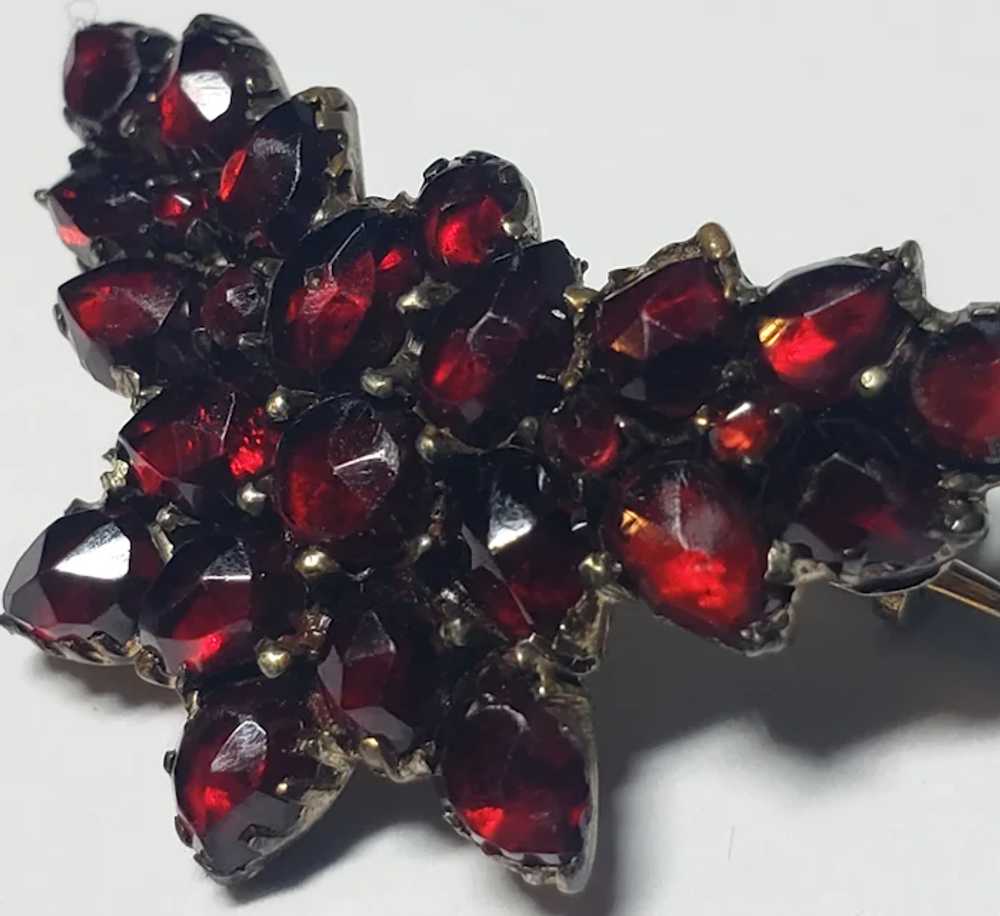 Victorian Bohemian Garnet Silver Butterfly Brooch - image 4