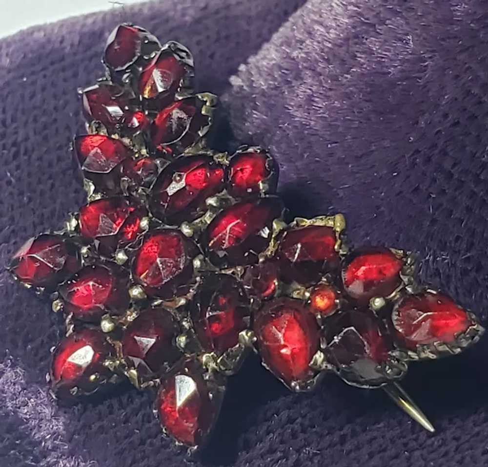 Victorian Bohemian Garnet Silver Butterfly Brooch - image 6