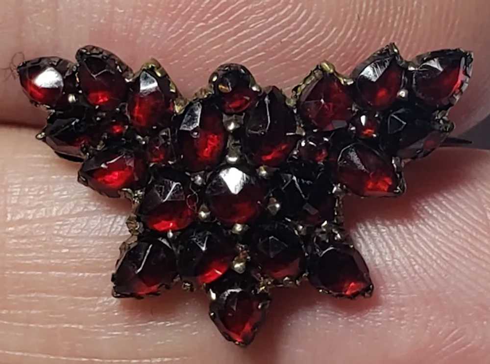 Victorian Bohemian Garnet Silver Butterfly Brooch - image 7