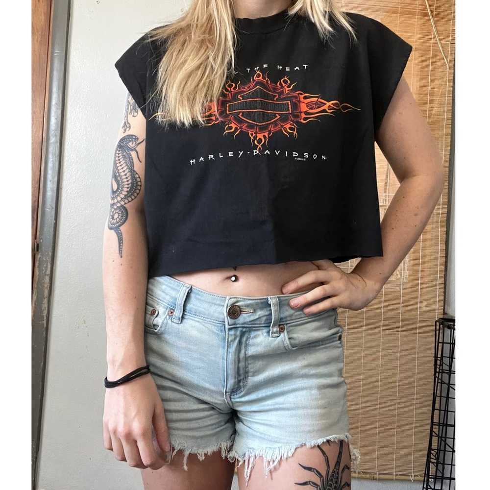 Vintage Crop Harley Davidson Tee - image 2