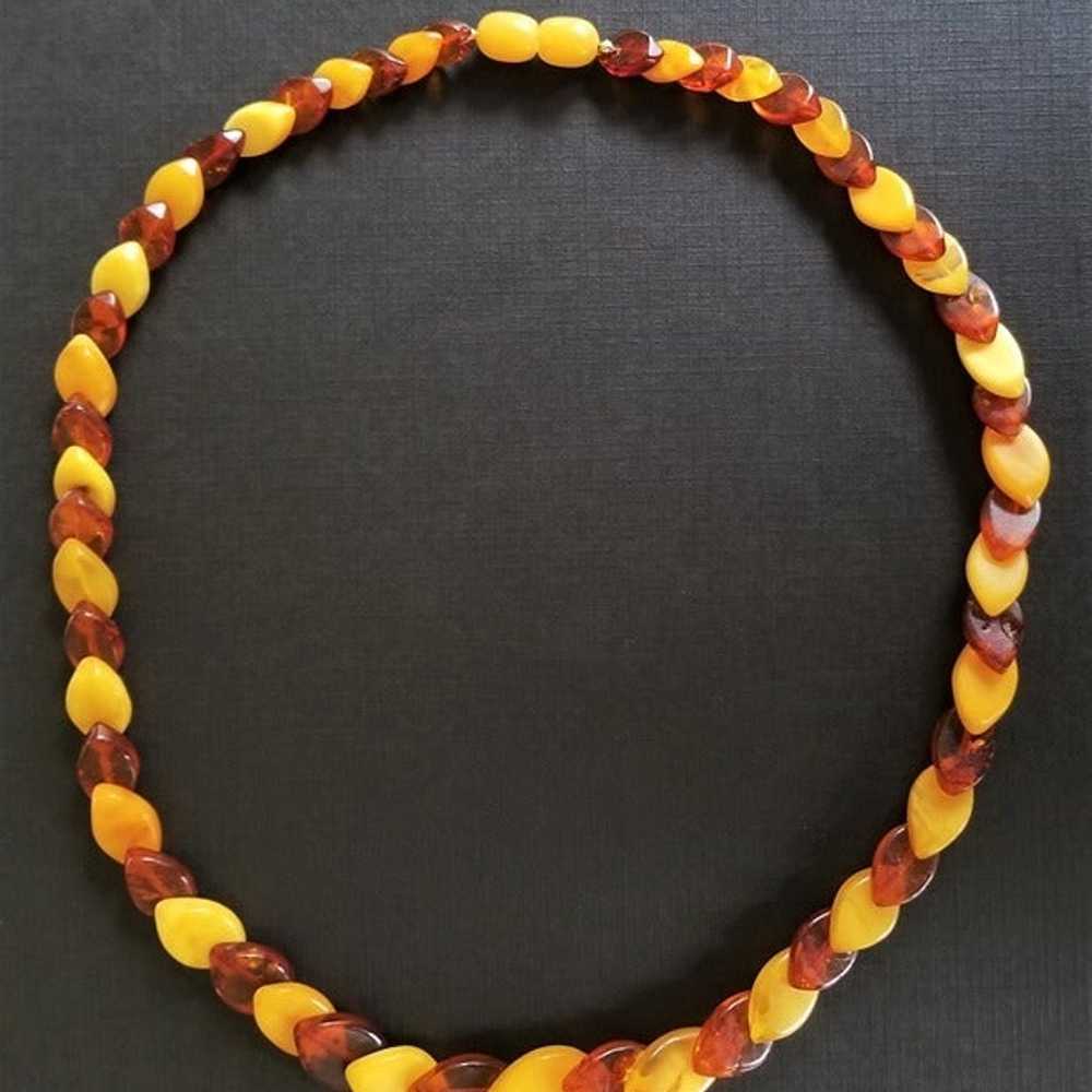 Baltic Amber Necklace - Graduated Honey & Egg Yol… - image 6