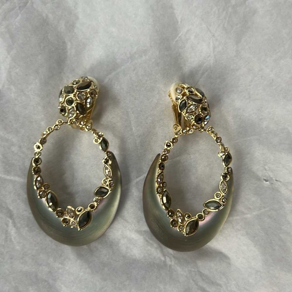 Alexis Bittar Earrings - image 1