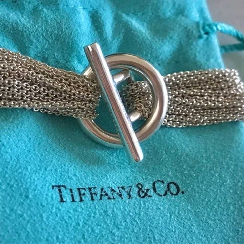 Tiffany & Co. Heart/Multichain Necklace - image 3