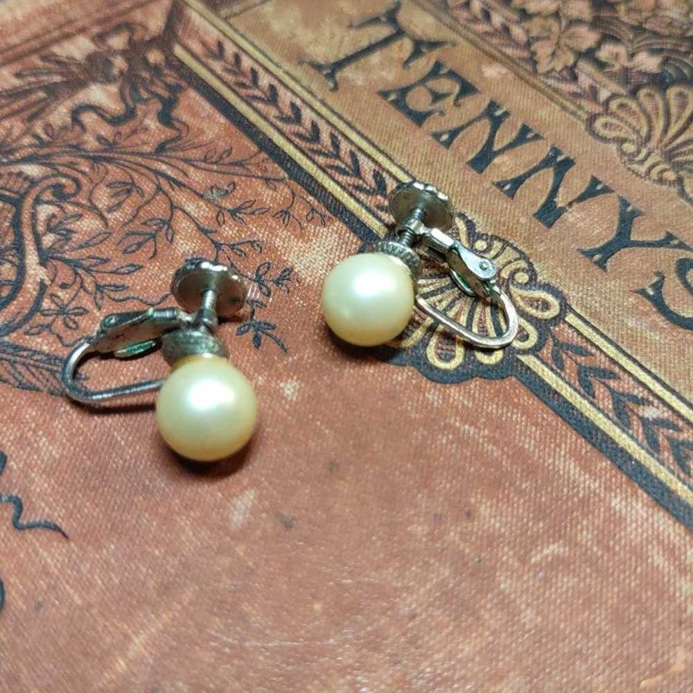 Vintage Accessocraft  NYC Screw Back Earrings - image 1