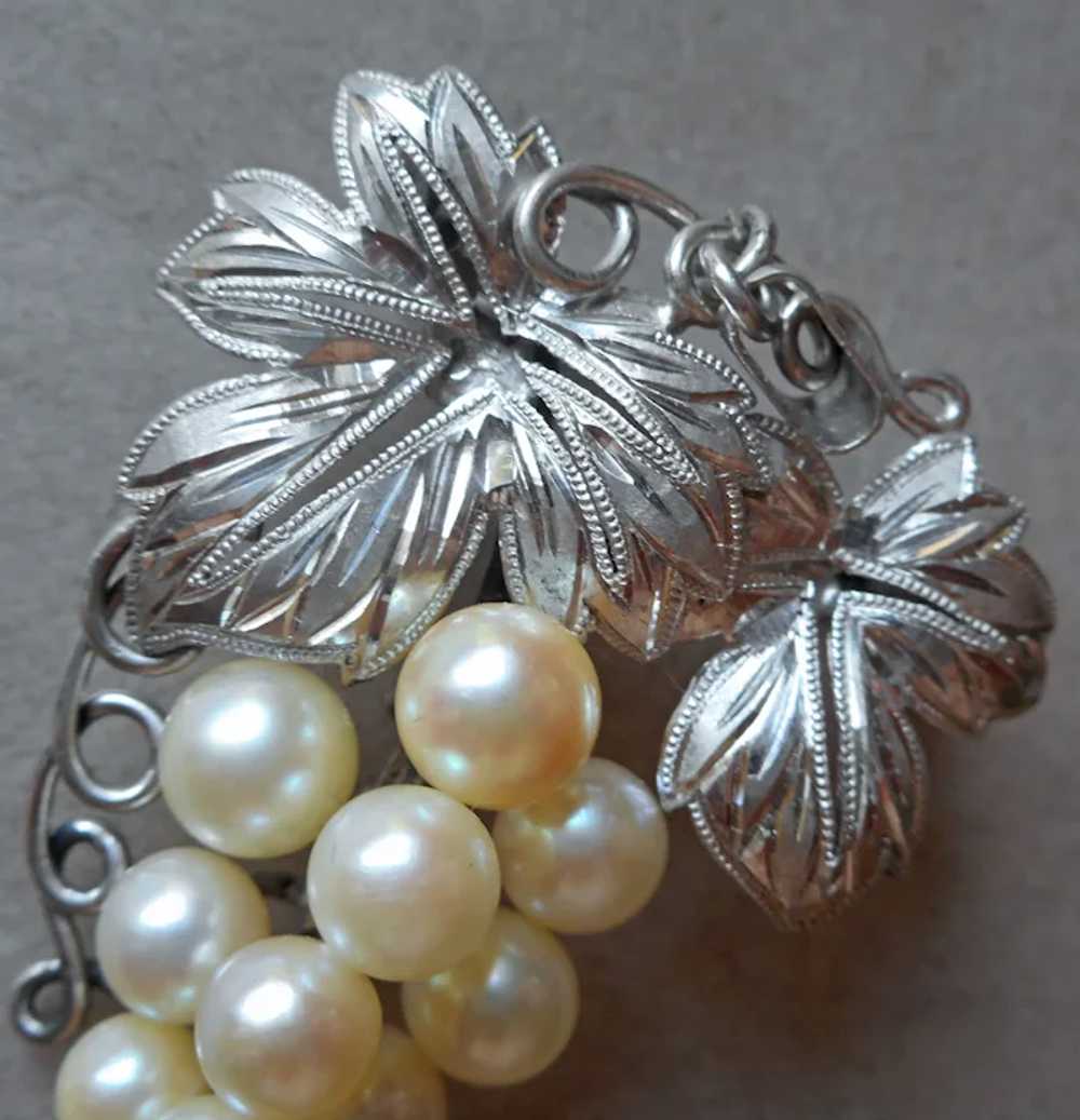 Mid Century Japan Akoya Pearls Sterling Silver Pe… - image 3