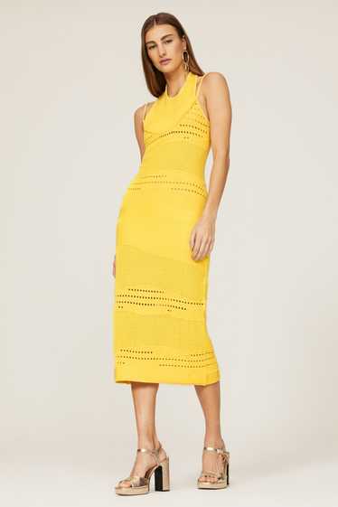 Esteban Cortazar Collective Crochet Midi Dress