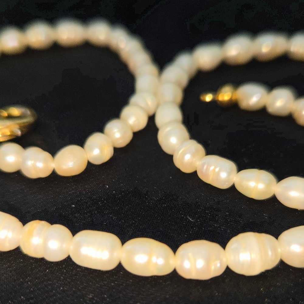 Vintage Freshwater Cultured Pearl Necklace - image 1