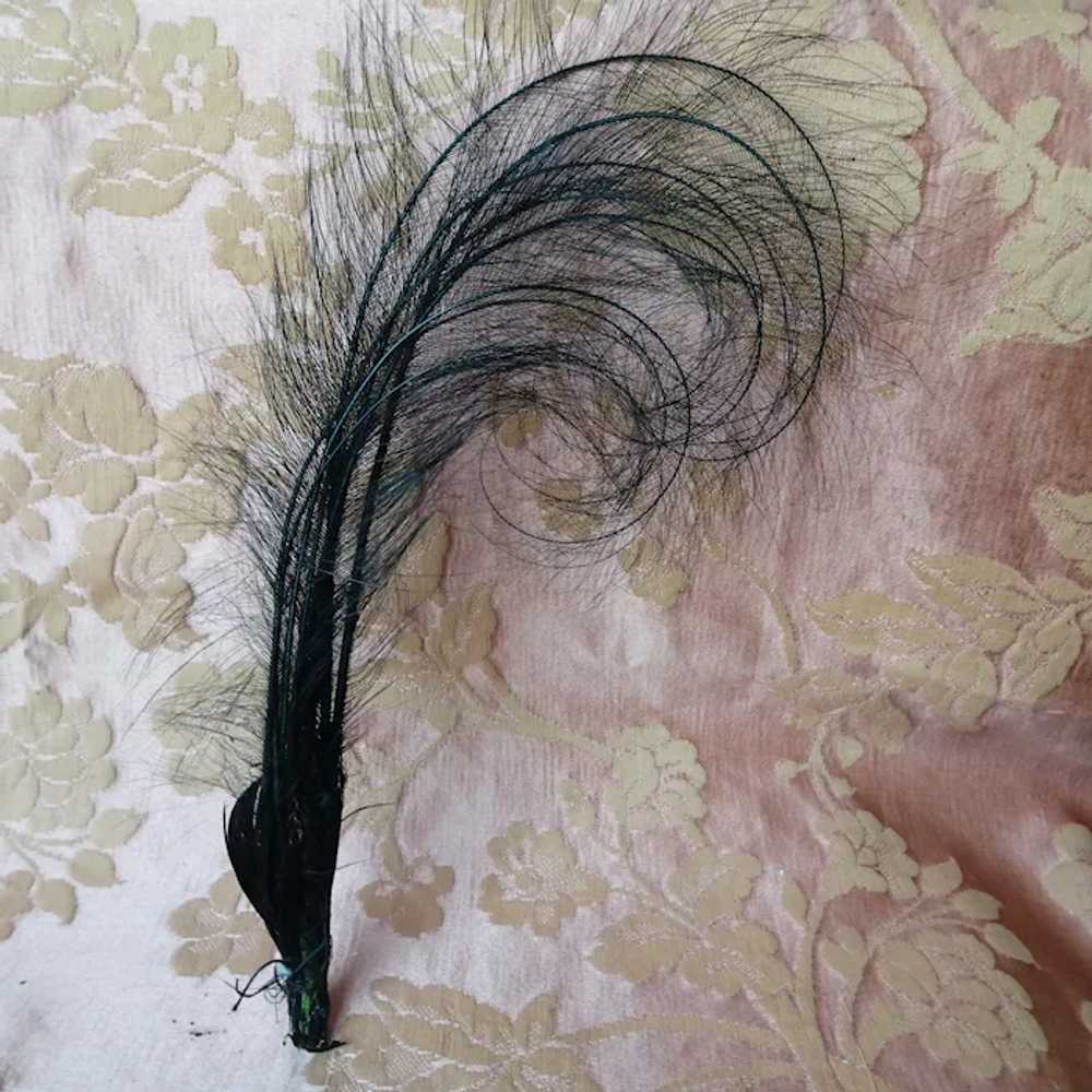 GORGEOUS Large Feather  Plume Adornment, Milliner… - image 3