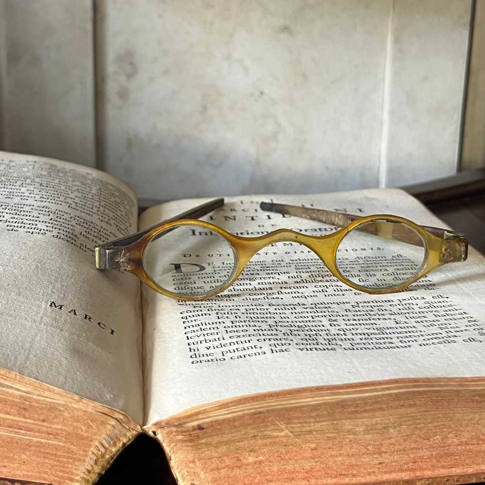 c. 1800 Tortoise Shell Wig Spectacles - Light - image 2