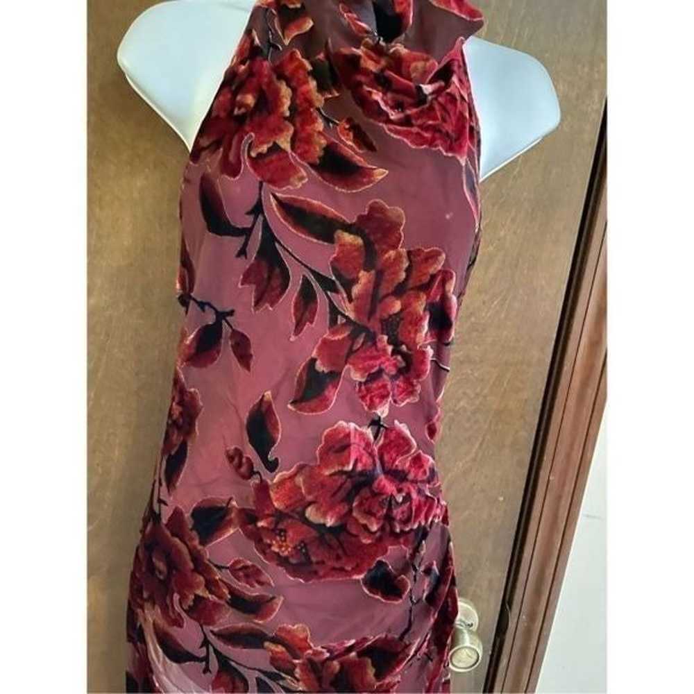 Vintage Vici Sheer Velvet Rose Dress - image 4