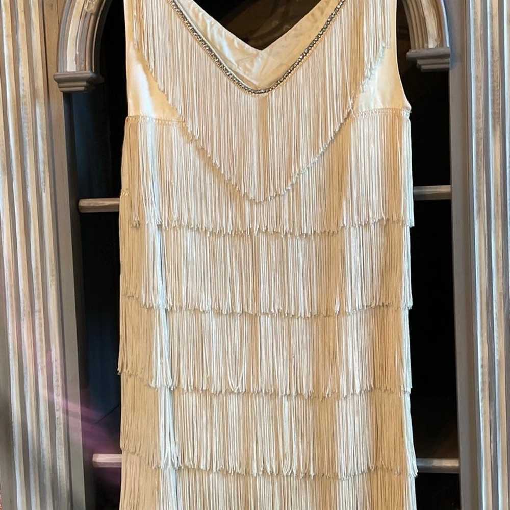 1920’s Flapper Inspired Dress / Costume - image 2