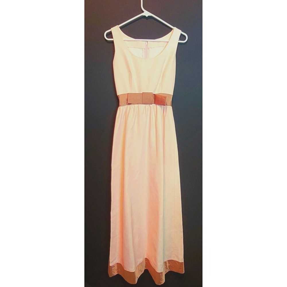 Vintage Light Pink Formal Dress Gold Band Trim Sl… - image 1