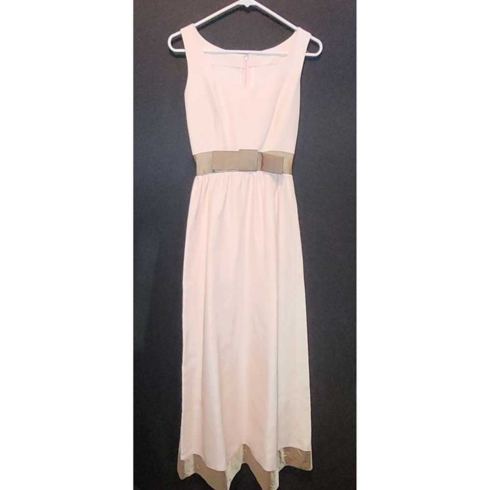 Vintage Light Pink Formal Dress Gold Band Trim Sl… - image 2