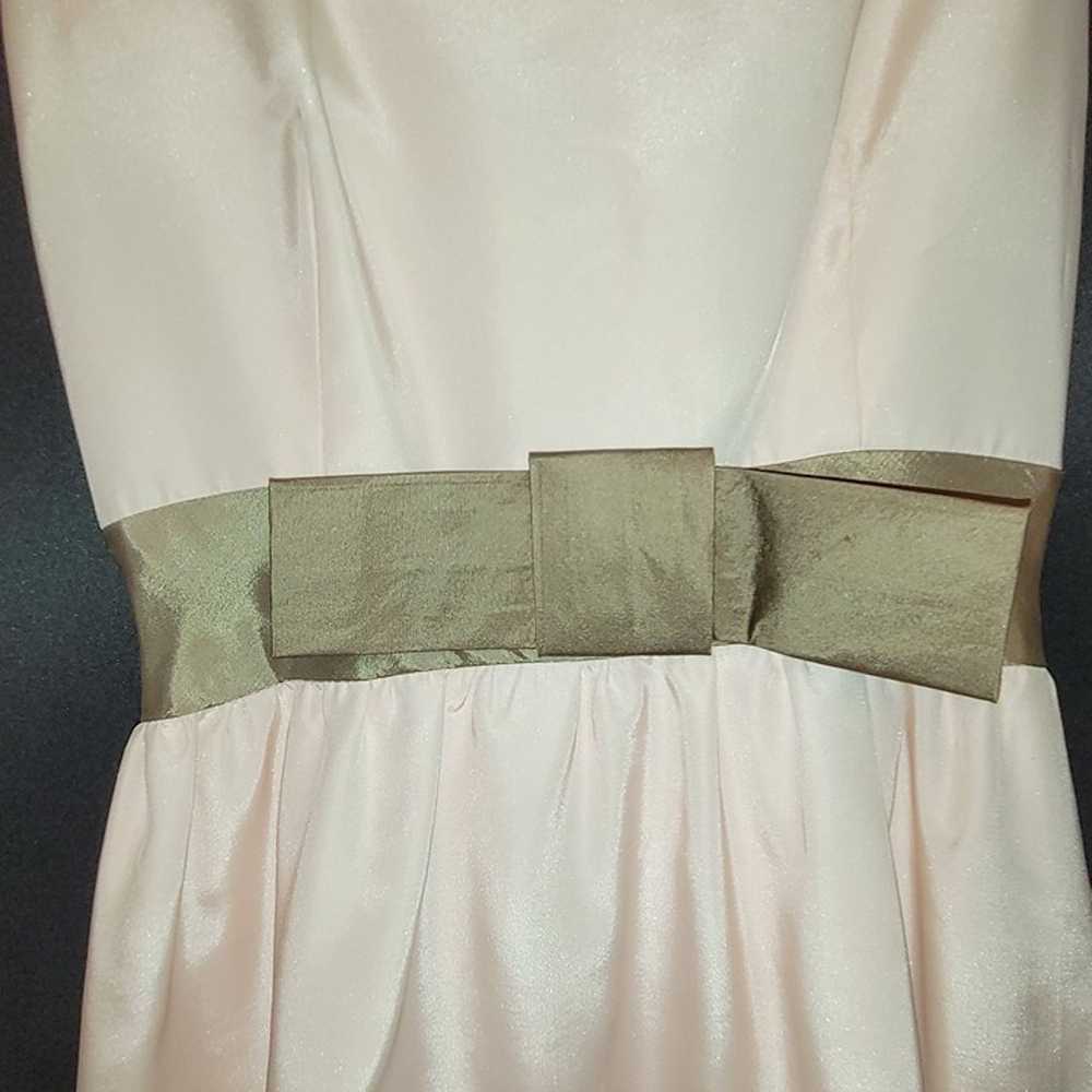 Vintage Light Pink Formal Dress Gold Band Trim Sl… - image 3