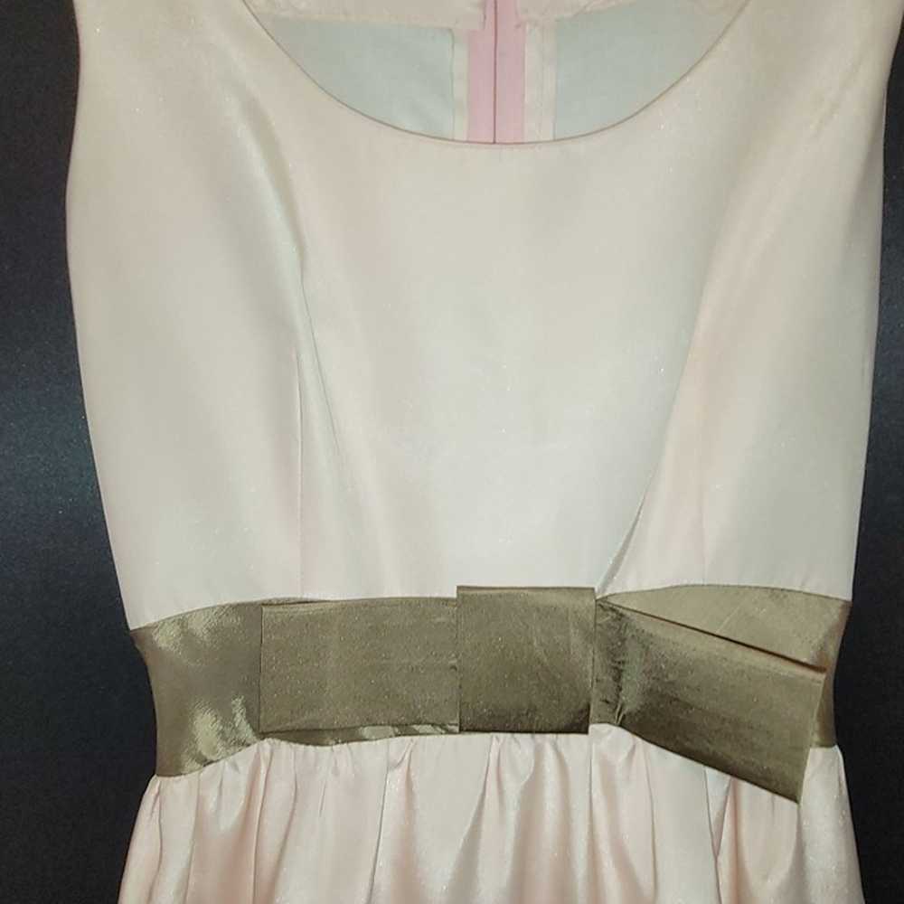 Vintage Light Pink Formal Dress Gold Band Trim Sl… - image 4