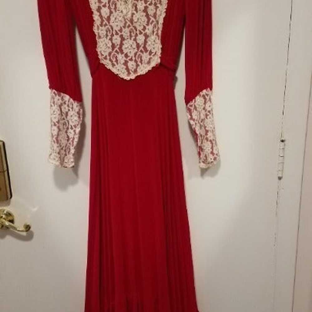 Beautiful Red Velvet Vintage Gown - image 6