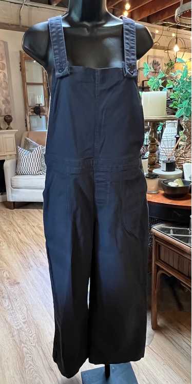 Patagonia Women’s Stand Up Overalls (6) | Used,…