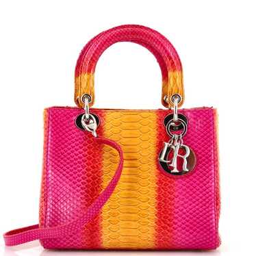 Christian Dior Exotic leathers handbag