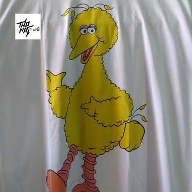 Cartoon Network × Disney × Streetwear Big Bird Se… - image 1