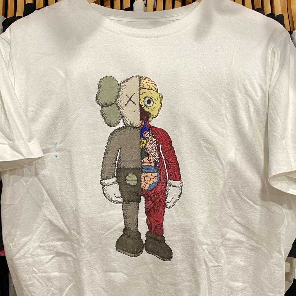 Japanese Brand × Kaws × Uniqlo Kaws Anatomy (Limi… - image 2