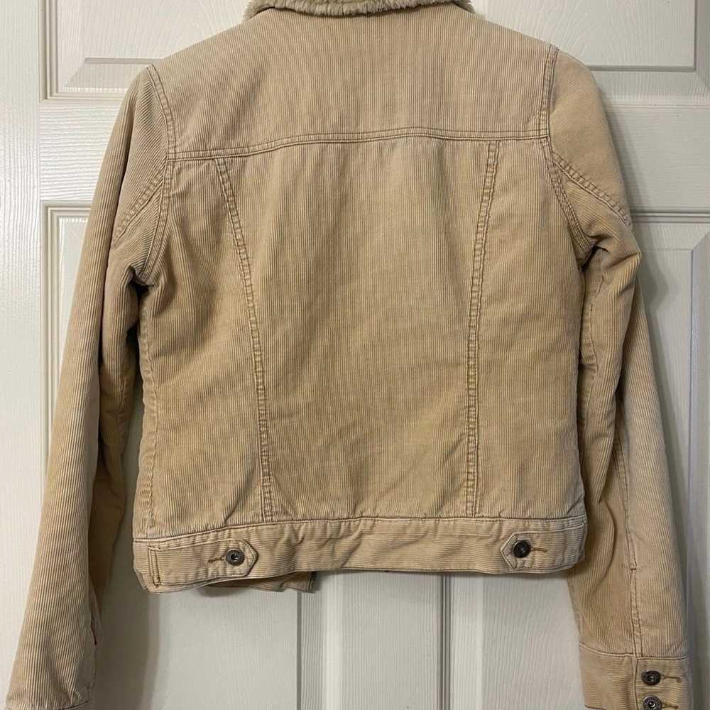 Vintage Y2K Hollister corduroy Jacket - image 2