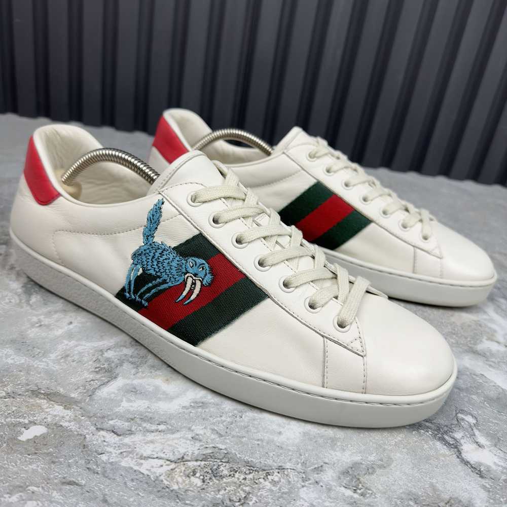 Gucci GUCCI Ace Web Freya Hartas sneaker Leather - image 5